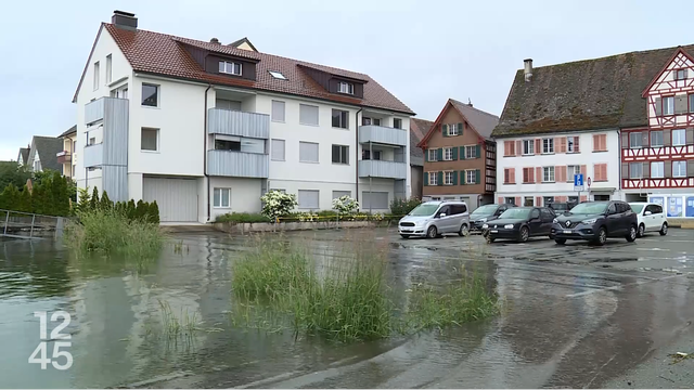 Le niveau des lacs, des rivières et des ruisseaux en Suisse alémanique inquiète. Le niveau de danger pour le lac de Constance est de 3, ce qui équivaut à un "danger marqué". [RTS]