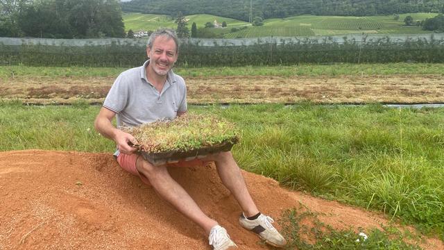 Florian Chitra et des toits végétaux en caissettes. [RTS - Lucile Solari]