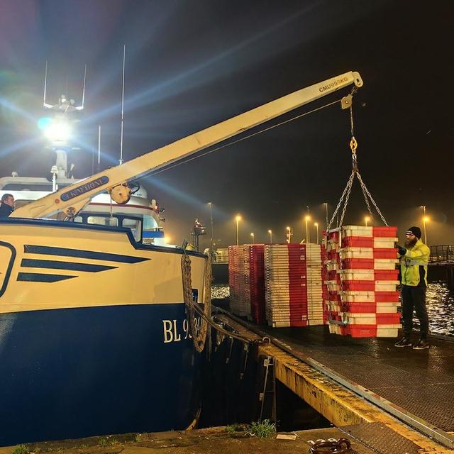 Le Marmoussant 3, chalutier de 20 mètres qui débarque 2 tonnes de poisson sur le port de Boulogne sur mer [RTS - Sébastien Farcis]