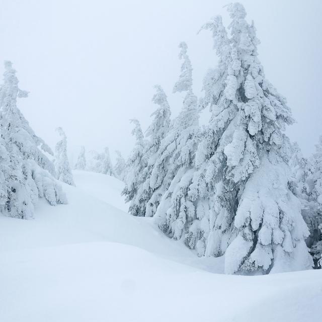 De la neige. [Depositphotos - IgorPylBO]