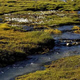 Un ruisseau de tourbières près du village de pêcheurs Inuit de Tiniteqilaaq. [AFP - Philippe Roy]