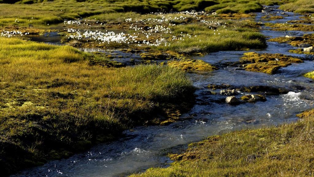 Un ruisseau de tourbières près du village de pêcheurs Inuit de Tiniteqilaaq. [AFP - Philippe Roy]