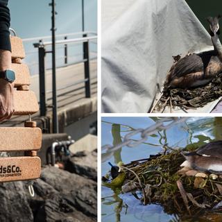 Une start-up propose une solution pour une meilleure cohabitation entre les bateaux et les oiseaux: une plateforme nautique dédiée aux seconds. [Birds&Co]