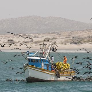 Mancora au Pérou a été touchée par de très violentes vagues. [AFP - Michael DeFreitas/Robert Harding]