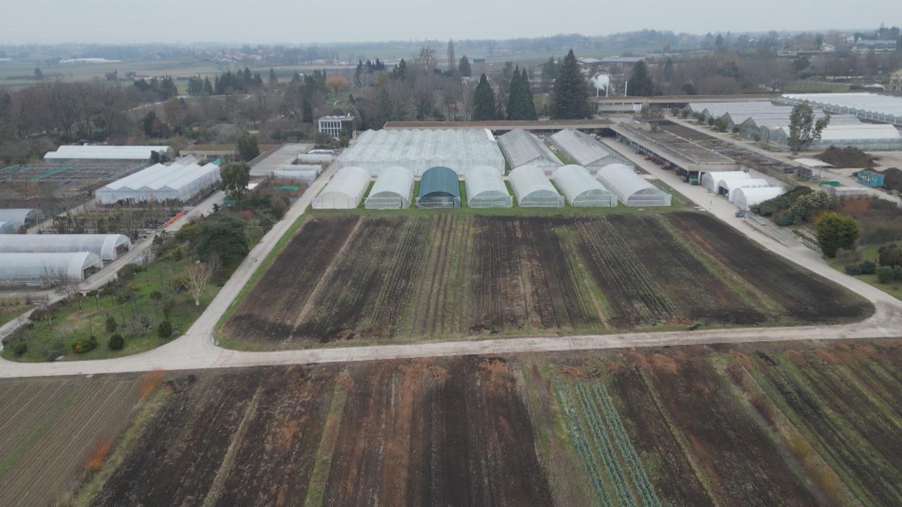 Le froid de ce mois de janvier fait le bonheur des agriculteurs romands, notamment des maraichers.