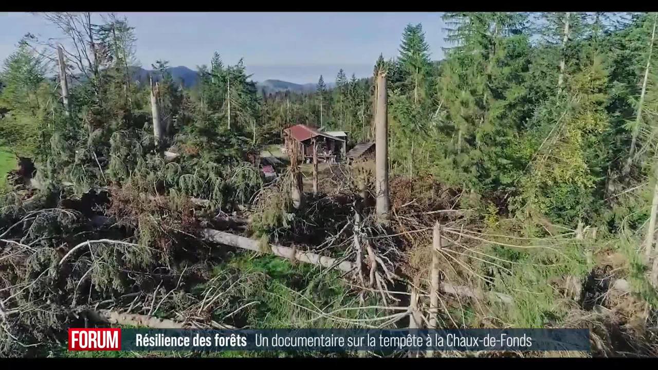 La résilience des forêts neuchâteloises touchées par la tempête de juillet 2023: interview de Sylvie Berti Rossi