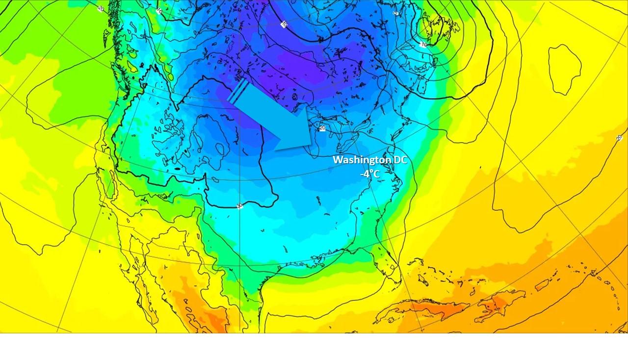 Températures au sol, prévues par le modèle du Centre Européen (ECMWF) pour le 20 janvier 2025 [ECMWF]