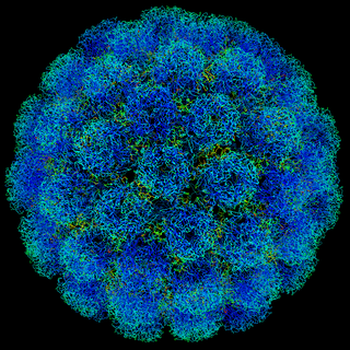 Illustration d'un virus. [©Phoebus87 Commons.wikimedia.org]