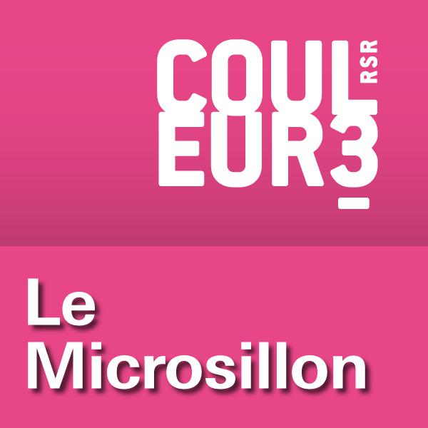 Logo Le Microsillon