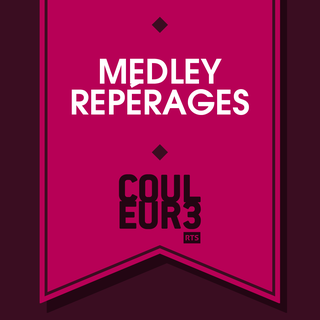 Logo Medley Repérages