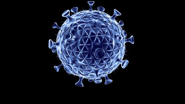 Le virus du sida. [Science Photo Library /afp]
