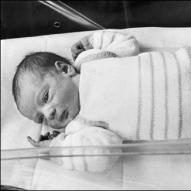 Amandine, premier bébé éprouvette de France, né le 24 février 1982 à l'hôpital Antoine Béclère de Clamart (Hauts-de-Seine). [wikipédia]