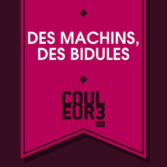 Logo Des machins, des bidules [RTS]
