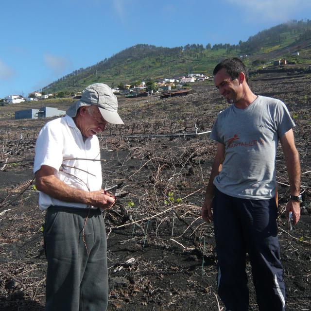 Juan José Santos et son fils, qui a choisi de rester à La Palma pour travailler la terre. [Frédéric Faux.]