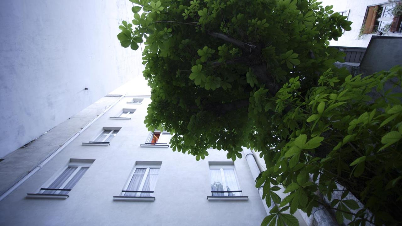Les arbres dans la Cité. [Bilderberg/AFP - Ralf Schultheiss]