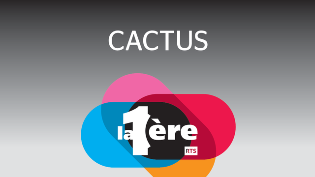 Logo Cactus