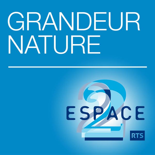Logo Grandeur nature [RTS]