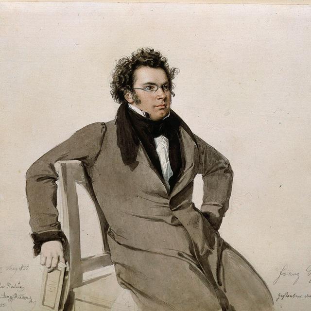 Le compositeur Franz Schubert. [The Picture Desk - Alfredo Dagli Orti]