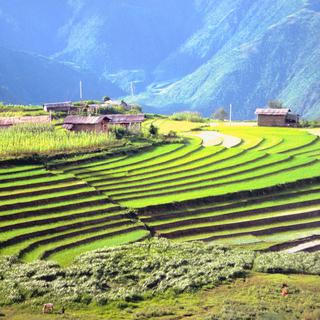 Le Bhoutan, vers un avenir 100% bio? [Jupiterimages/AFP]