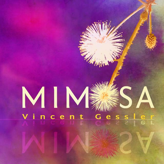 "Mimosa" de Vincent Gessler. [L'Atalante]