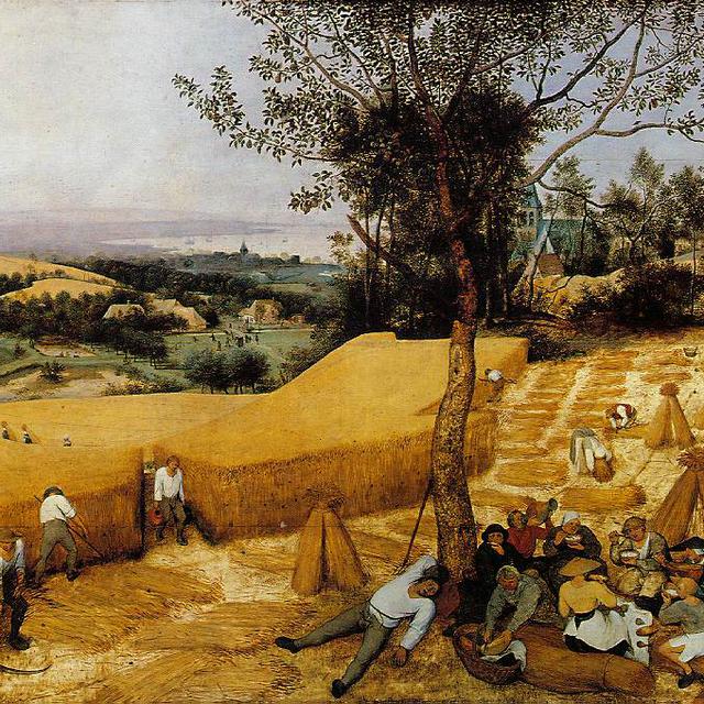 La Moisson. Un tableau de Pieter Bruegel l'Ancien de 1556. [Wikimedia]