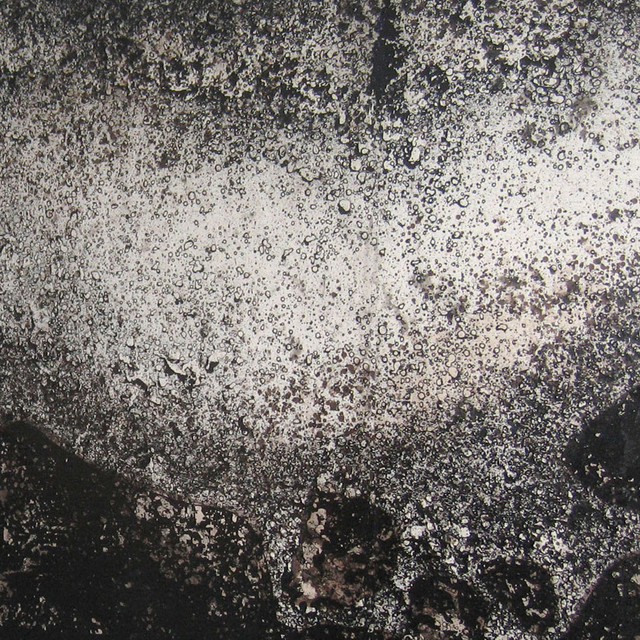 Anne Pantillon. Détail du Rivage 2012, 590 x 185 cm. Encre de Chine, pigments, papier marouflé sur bois [A. Pantillon]