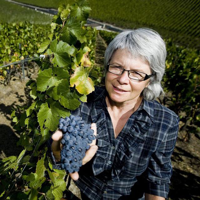 Madeleine Gay, oenologue, dans les vignes sierroises en septembre 2009. [Jean-Christophe Bott]
