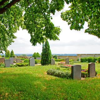 Les cimetières considérés comme des espaces verts? [PhotographyByMK]