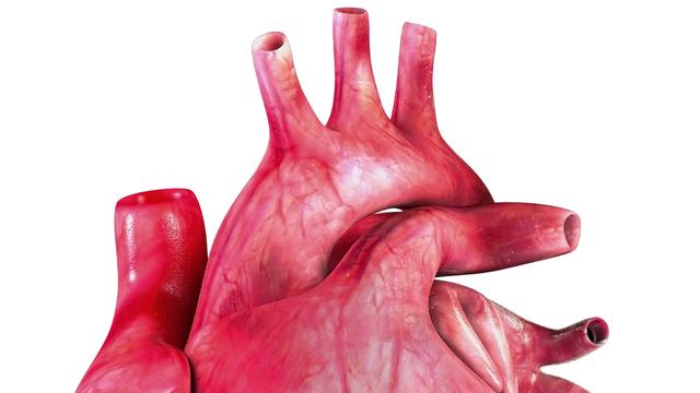 Une transplantation du coeur était inimaginable il y a 40 ans. [Fotolia - Gunnar Assmy]