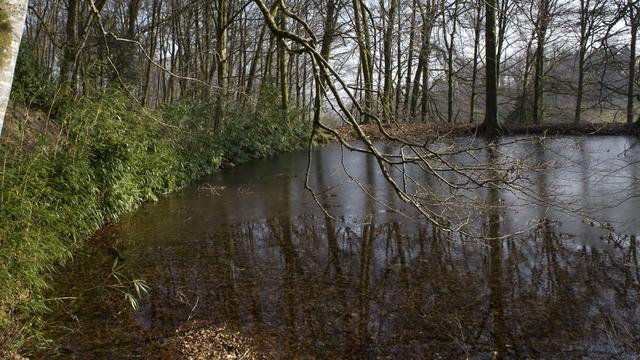 Comment mieux comprendre le travail de la forêt sur l’eau? [Fotolia - laurent33]