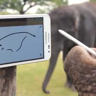 Les éléphants aiment les tablettes Samsung.