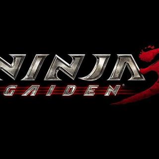 Visuel de "Ninja Gaiden 3". [Tecmo Koei]