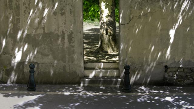 Photographie d'Abbas Kiarostami, 2012. [lucymackintosh.ch]