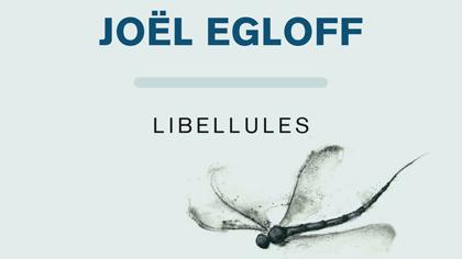 Couverture du livre "Libellules" de Joël Egloff. [Editions Buchet-Chastel]