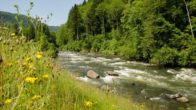 Rapides sur le doubs en aval de Soubey [Didier Kessi]