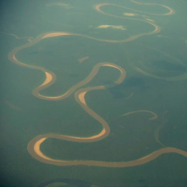 The Amazon Rainforest taken from plane. [CC-BY-SA - Joel Takv]