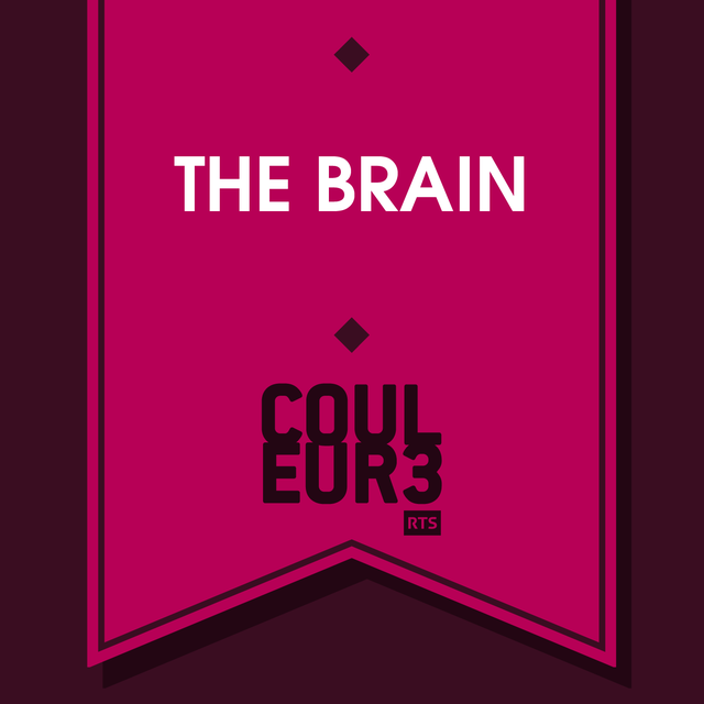 Logo The Brain