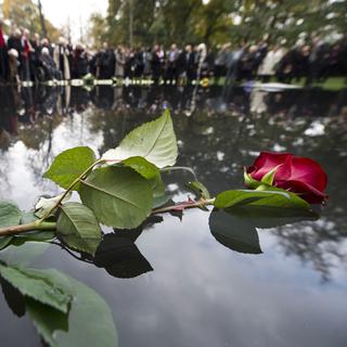 Une rose déposée sur le Memorial pour les Roms victimes du nazisme, inauguré le 24 octobre 2012 à Berlin. [John MacDougall]