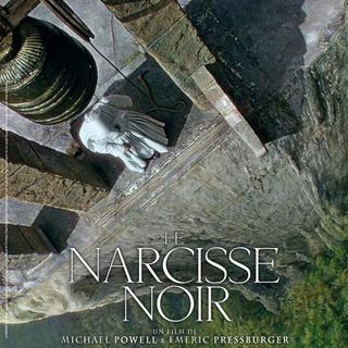 Affiche du film "Le Narcisse noir".