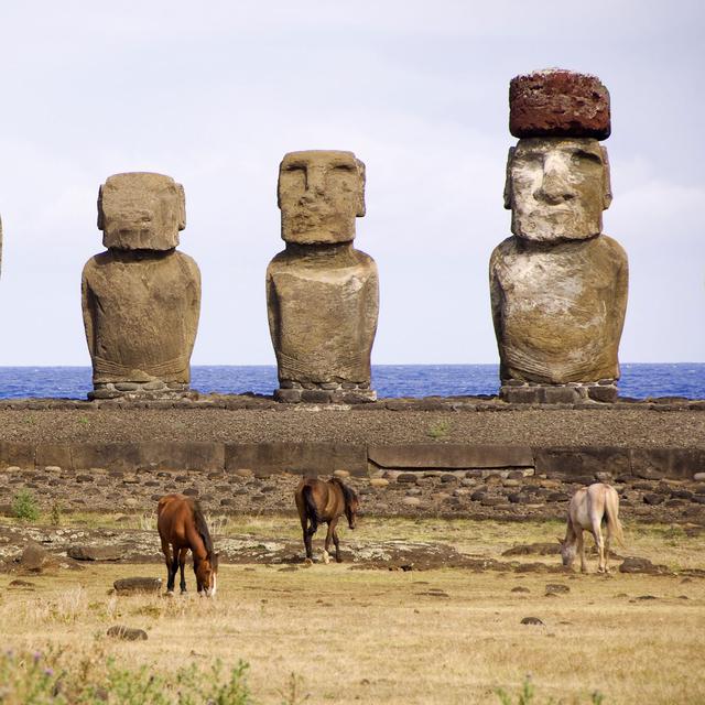 Les fameuses statues de l'île de Pâques, dos à la mer. [hemis.fr / AFP - Franco Barbagallo]