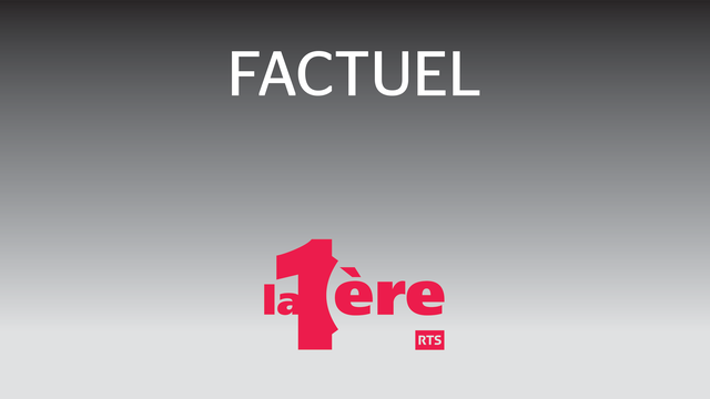 Logo Factuel