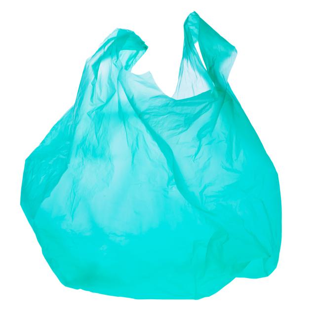 Les sacs en plastique, c'est pas fantastique. [Gina Sanders]