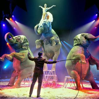 Franco Knie et ses éléphants, mars 2012. [Walter Bieri]