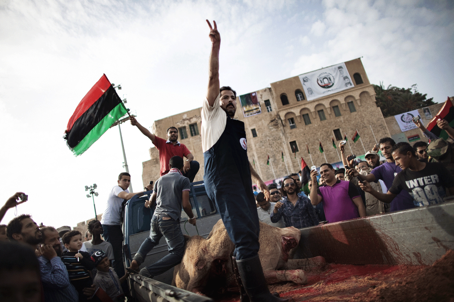 Libye, Tripoli: sacrifice rituel de deux chameaux en honneur de la libération du pays au "Central Martyr's Square" de la capitale, le 23 octobre 2011 [Marco Longari]