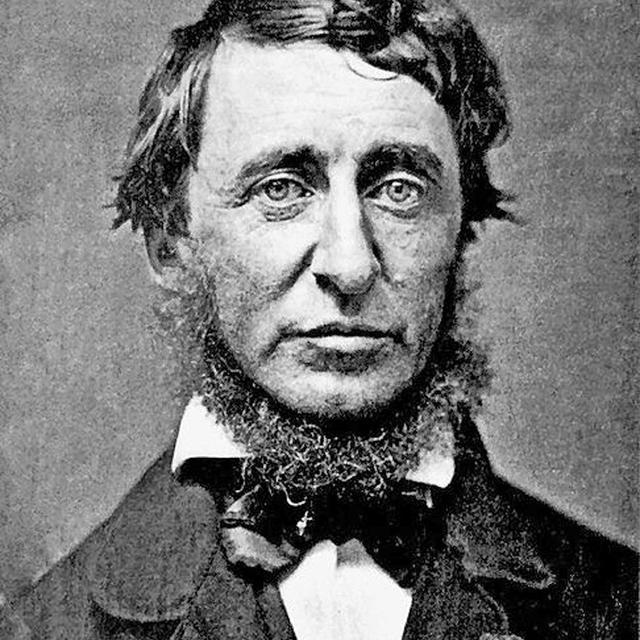 Henry David Thoreau, en juin 1856, par Benjamin D. Maxham (daguerréotype). [DP/Wikimedia Commons - Benjamin D. Maxham]
