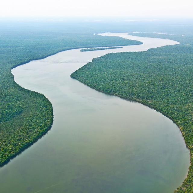 La forêt amazonienne est la plus grande forêt pluviale au monde. [Cmon]