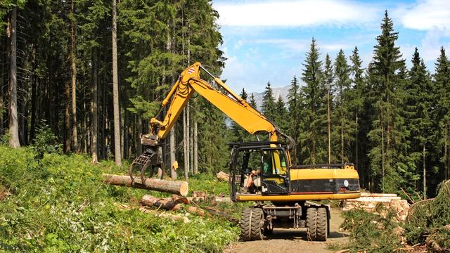 Comment exploiter et entretenir la forêt suisse, sans prétériter sa santé écologique? [Fotolia - Henrik Winther Ander]