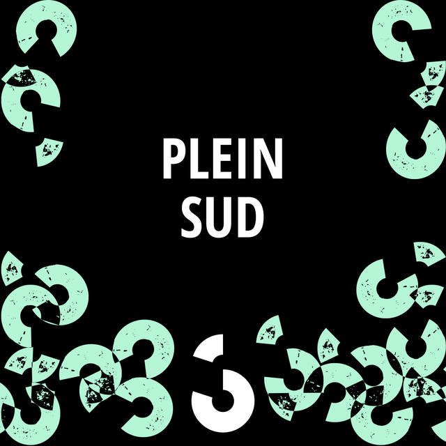Logo Plein Sud