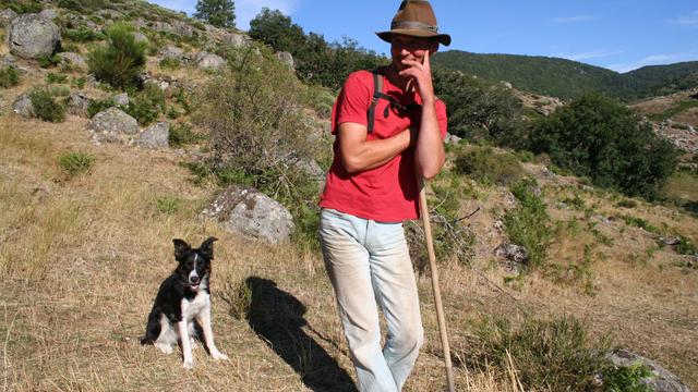 Robin, nouveau berger des Cévennes. [Sophie Iselin]