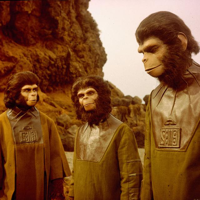 Une scène du film de Franklin J.Schaffner, "La planète des singes", 1968. [Archives du 7e art / Photo 12 / AFP]